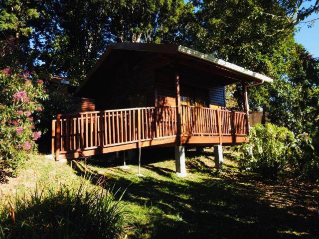 Cabanas San Gerardo San Gerardo de Dota Ngoại thất bức ảnh